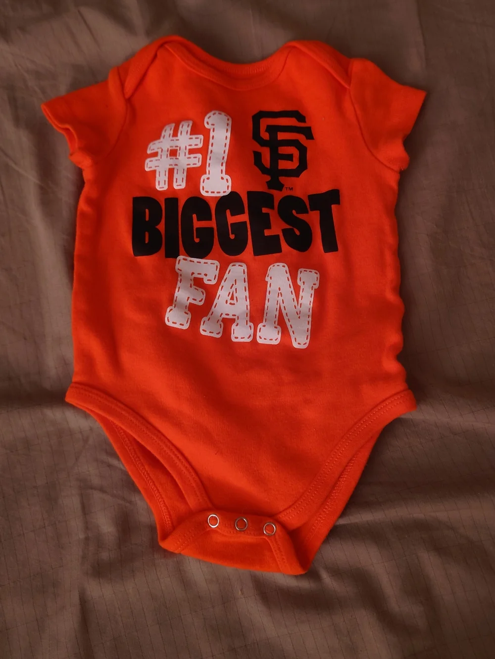 Onsies Lot 6-9 Months